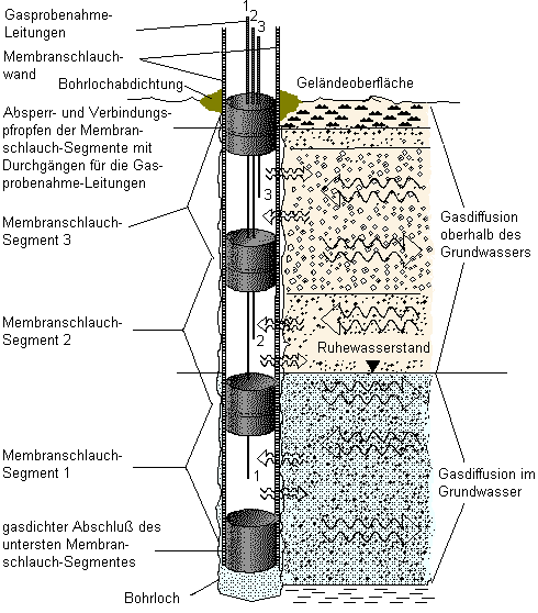 Sonde